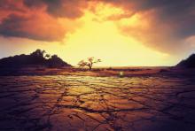 Infertility Drought and Stress of Mothers and Fathers Day