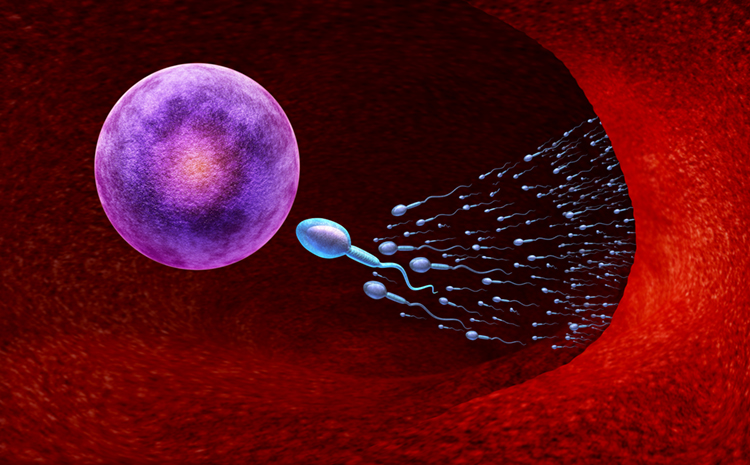 Repercussions for the Future of IVF